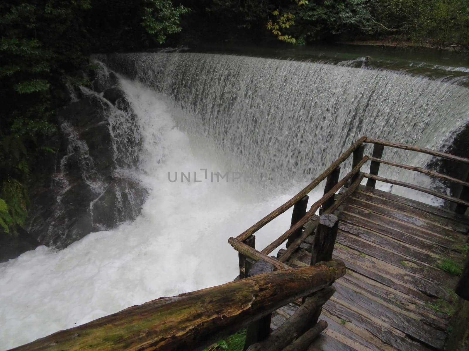 Beautiful scenery with plenty of water and vegetation forests, waterfalls rivers