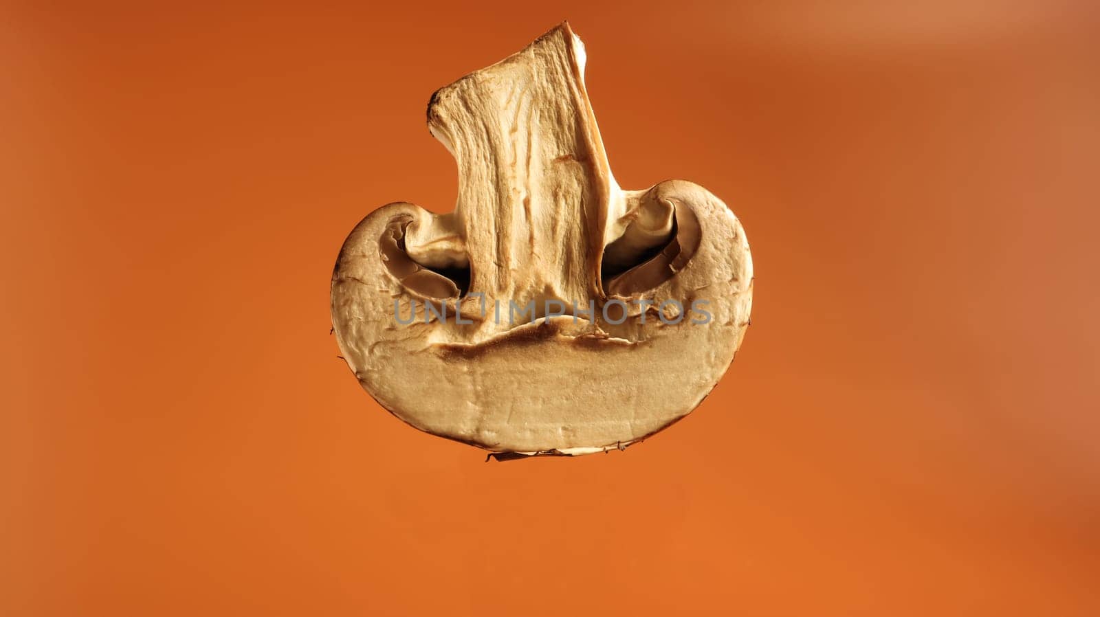 One fresh mushroom in a cut on a brown background. Half of the royal champignon close-up. Juicy mushroom, copy space. Raw material for cooking vegan food