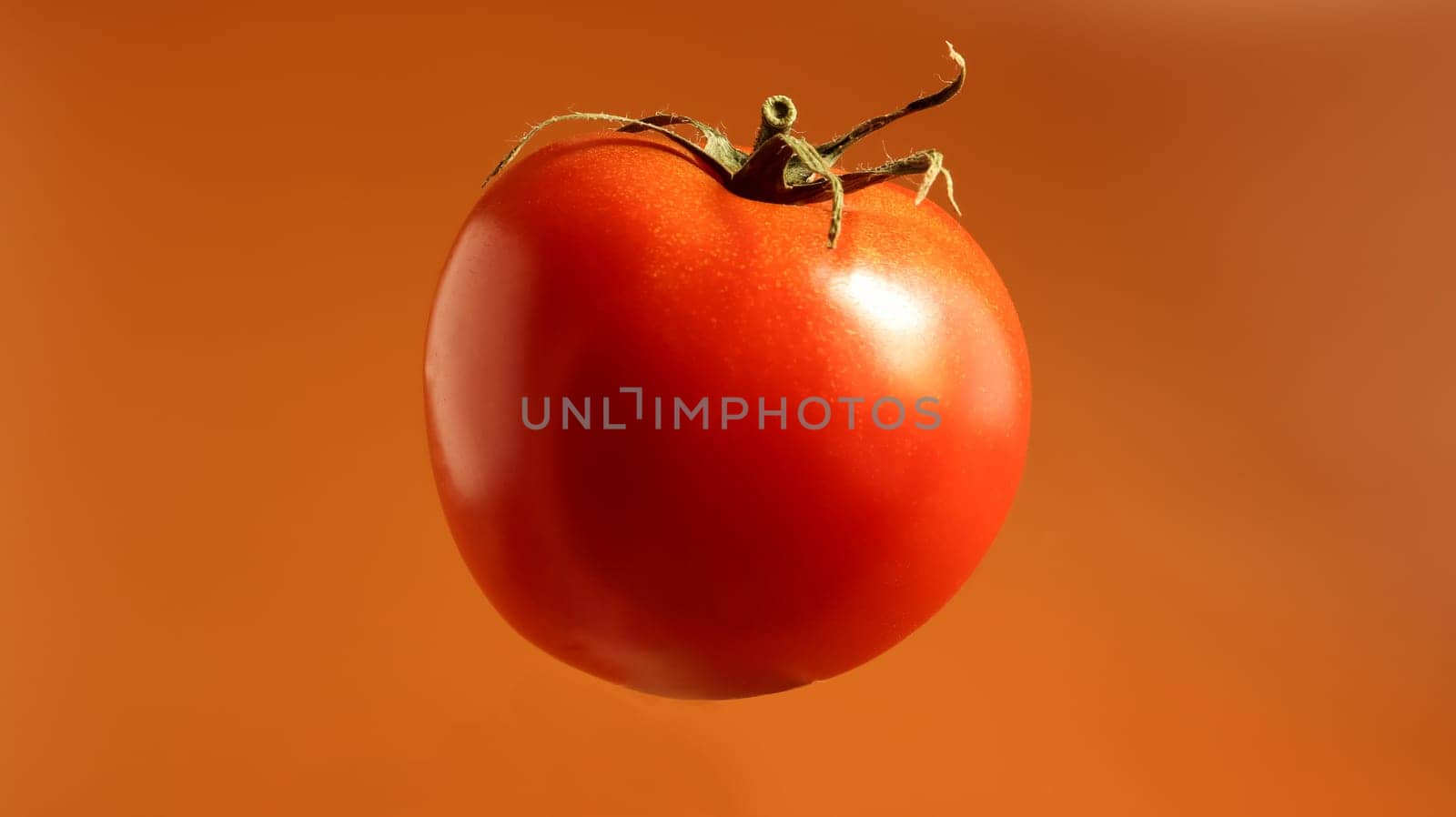 One fresh tasty red tomato. Juicy multi-celled berry. An annual or perennial herb. Vegetable culture. Juicy tomato with green stem