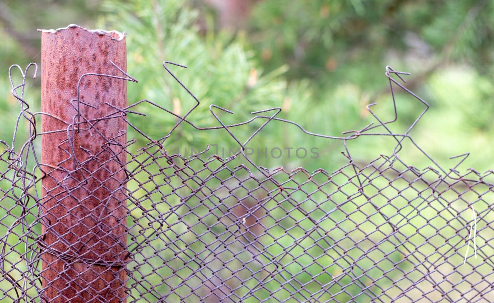Mesh old ragged cage in the garden and a rusty pole with green grass as a background. Metal fence with wire mesh. Metal fence made of steel iron mesh. Abstract background. copy space