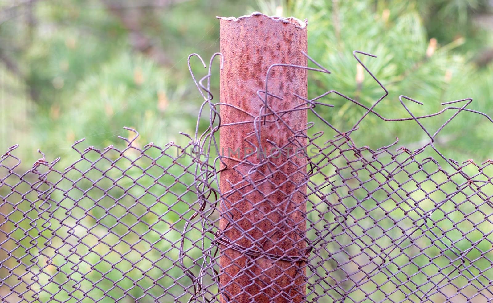 Mesh old ragged cage in the garden and a rusty pole with green grass as a background. Metal fence with wire mesh. Metal fence made of steel iron mesh. Abstract background. copy space