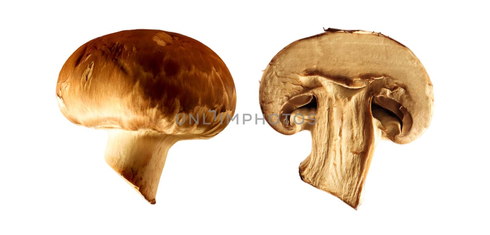 Fresh champignons isolated on white background. Set of fresh whole and sliced king brown mushrooms. Fresh harvest close-up. Macro