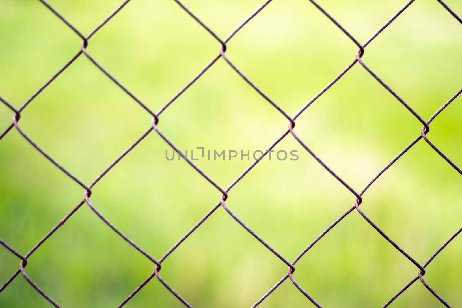 Mesh cage in the garden with green grass as background. Metal fence with wire mesh. Blurred view of the countryside through a steel iron mesh metal fence on green grass. Abstract background