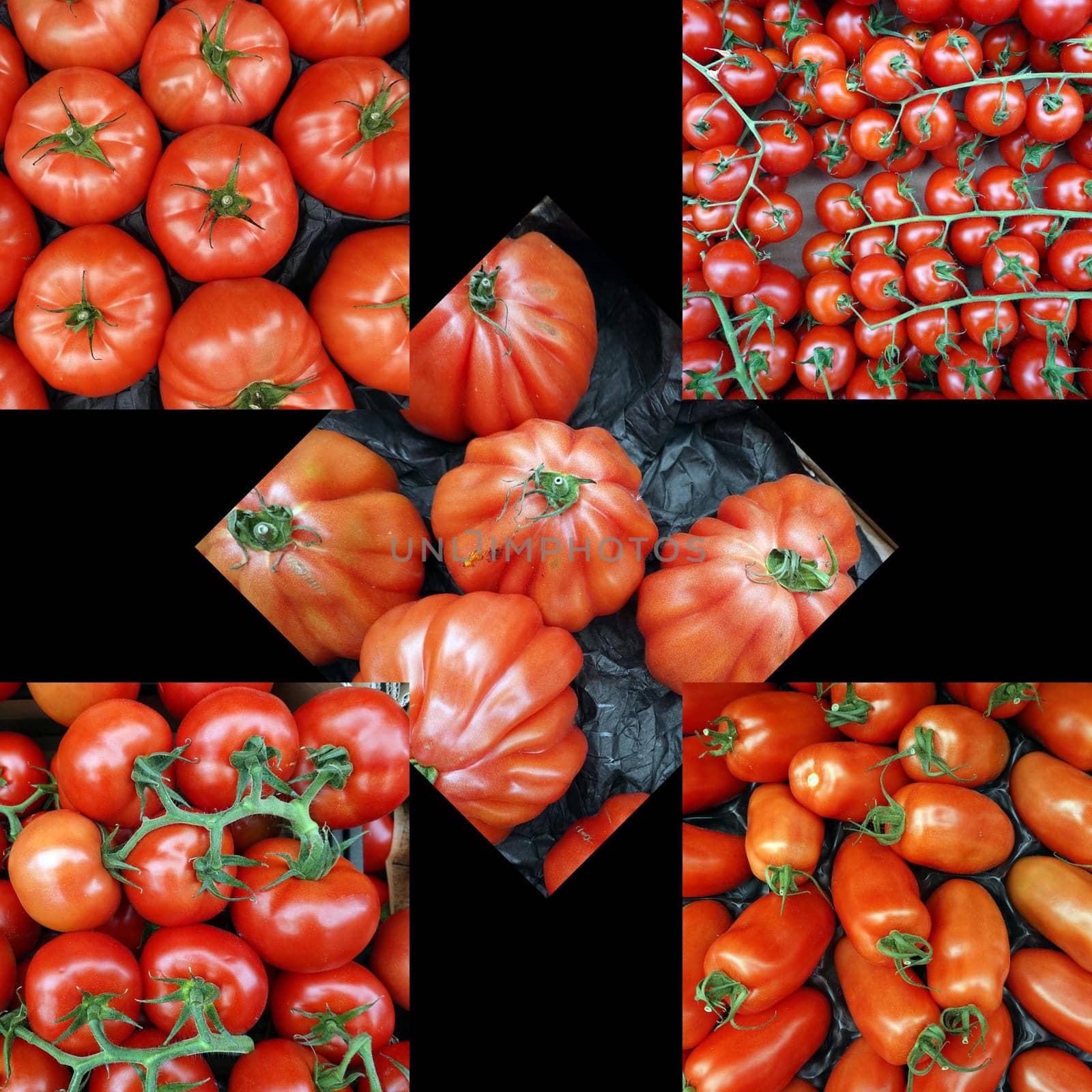 verschiedene Tomaten-Sorten (Solanum lycopersicum) im Gemüsegeschäft