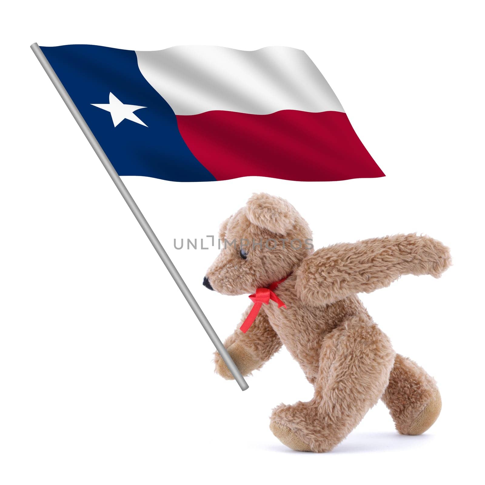 A Texas flag being carried by a cute teddy bear