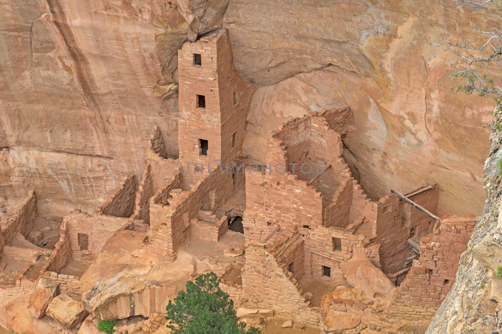 Cliff Dwelling in a Canyon Wall at the Square Tower House in Mesa Verde National Park