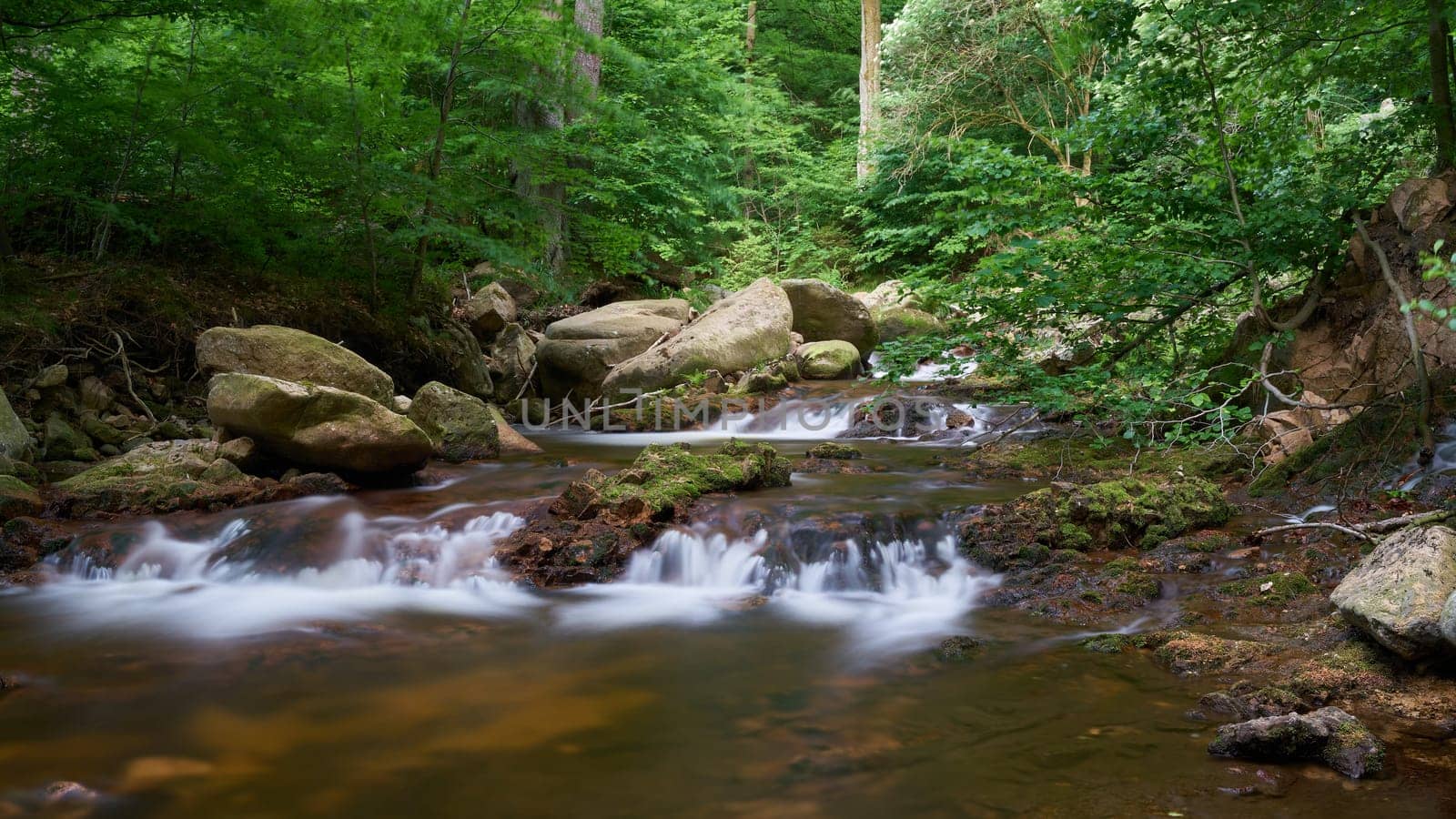 the river Ilse at Ilsenburg at the foot of the Brocken in the Harz National Park in Germany