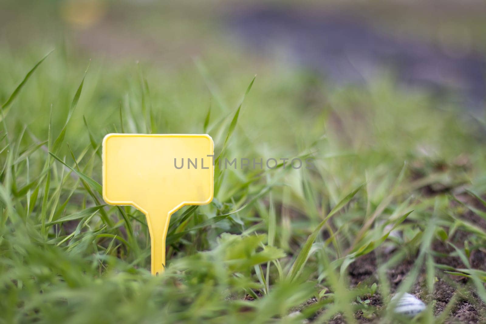 A yellow plastic garden marker indicating a plant in the garden. Label garden for marking. A reusable plate is designed to display information about planted crops