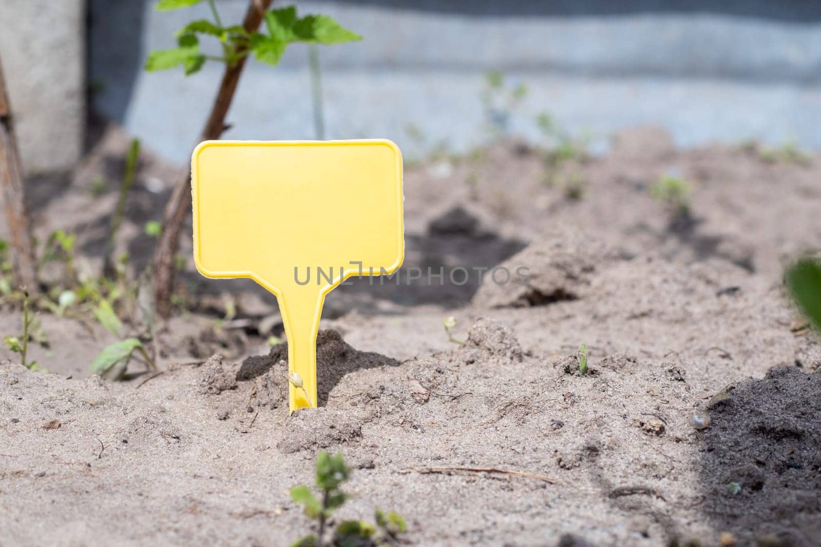 A yellow plastic garden marker indicating a plant in the garden. Label garden for marking. A reusable plate is designed to display information about planted crops