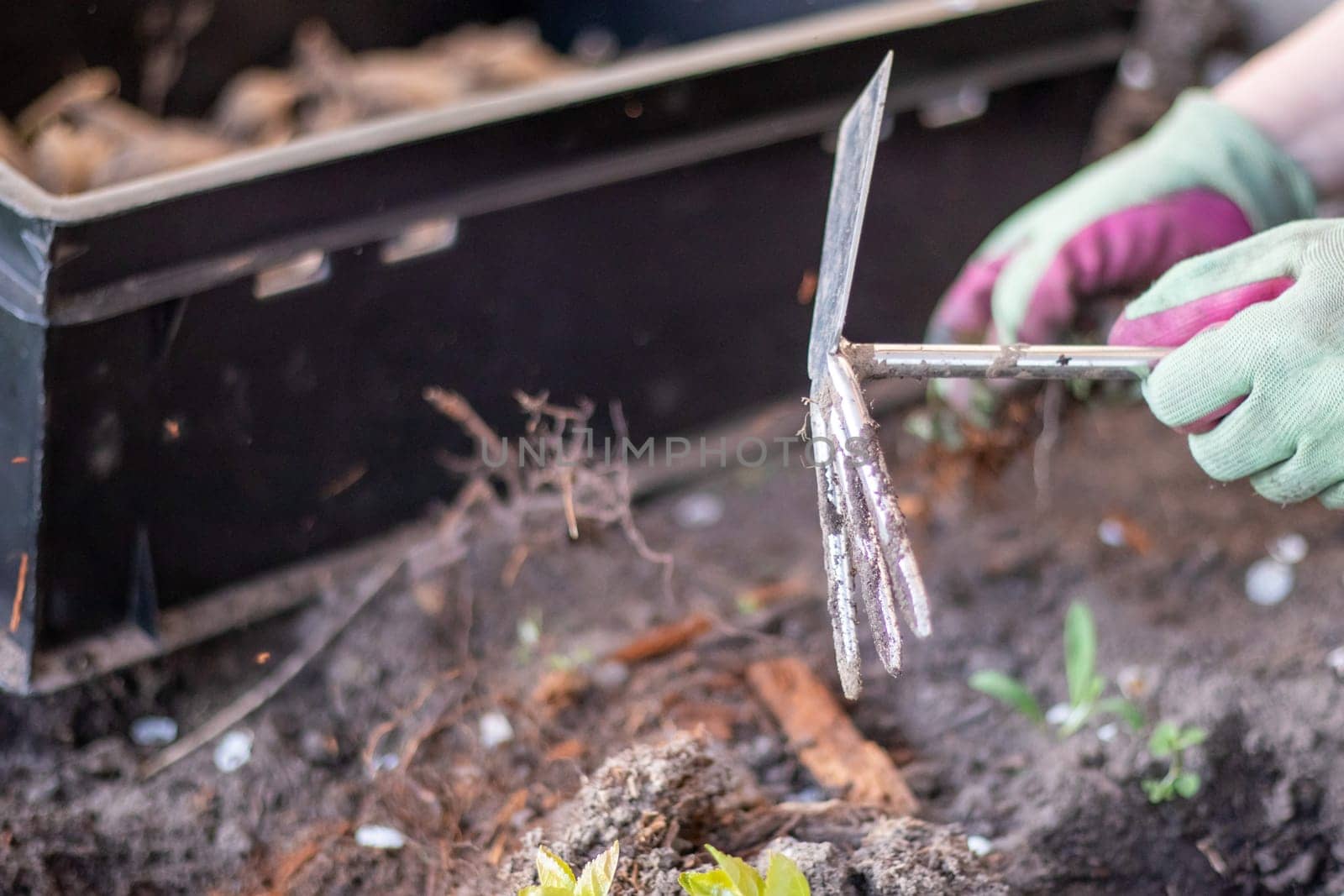 The gardener rakes the soil for planting. To work in the garden. Women's hands in gloves hold a garden tool and loosen the ground, caring for and growing garden plants. Plant a plant in the garden