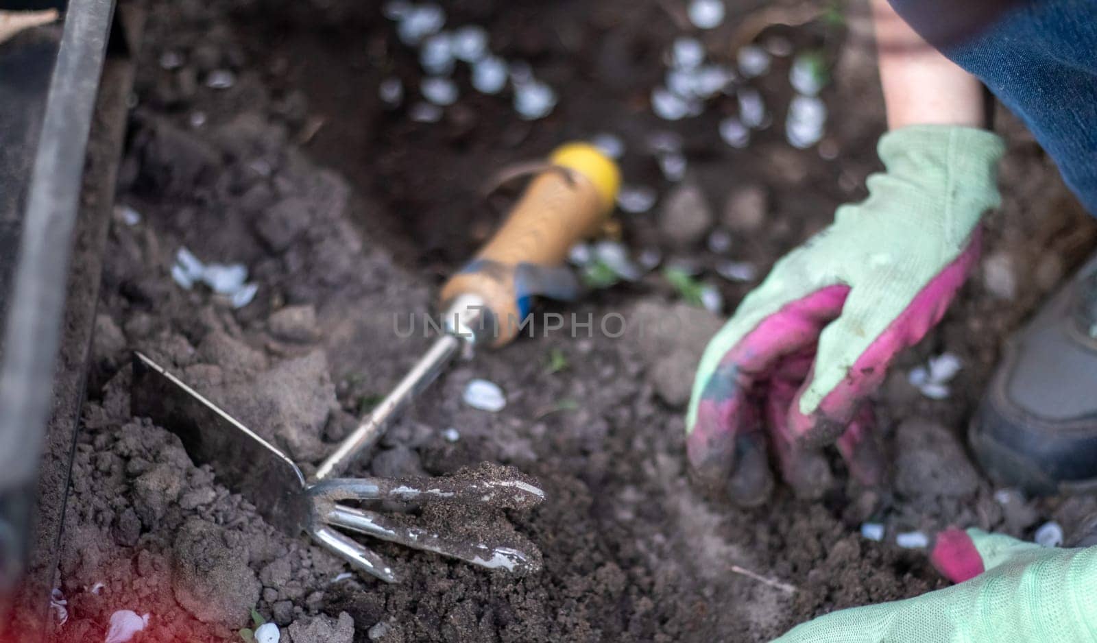 The gardener rakes the soil for planting. To work in the garden. Women's hands in gloves hold a garden tool and loosen the ground, caring for and growing garden plants. Plant a plant in the garden