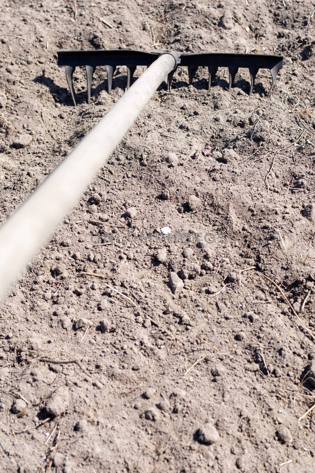 Photo of a garden rake on a bed. Old metal rake in the garden. Spring cleaning. Formation of the soil for planting with a rake in the spring, work with a garden tool. Soil preparation for sowing