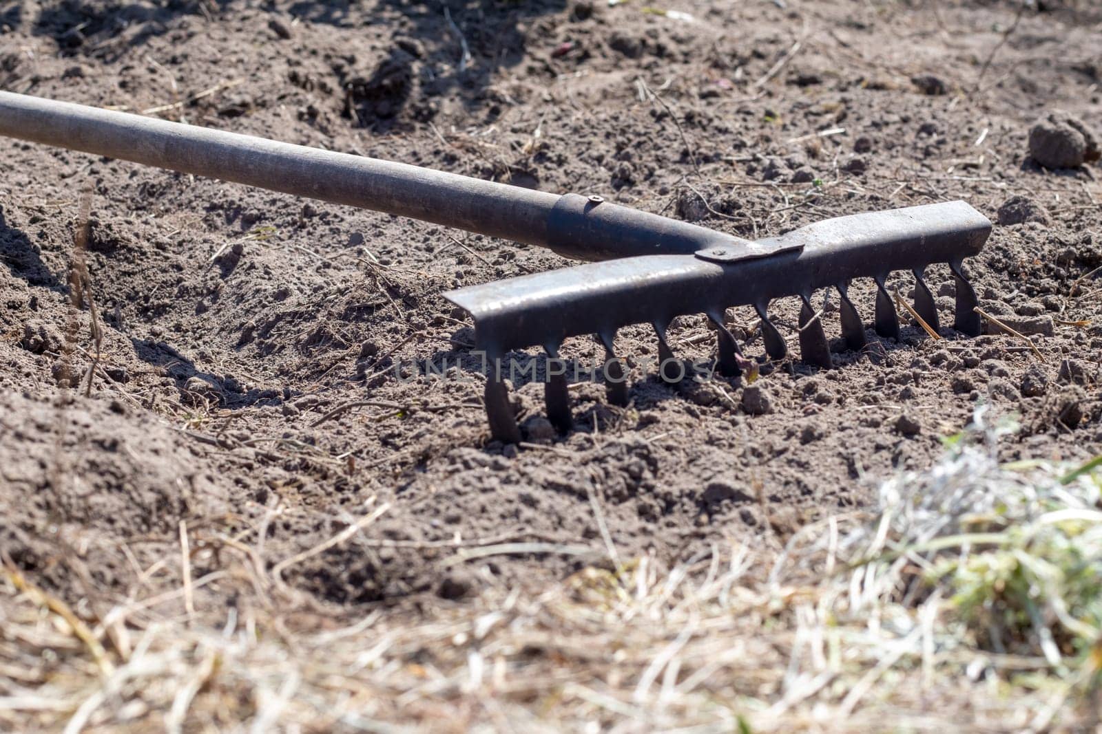 Photo of a garden rake on a bed. Old metal rake in the garden. Spring cleaning. Formation of the soil for planting with a rake in the spring, work with a garden tool. Soil preparation for sowing