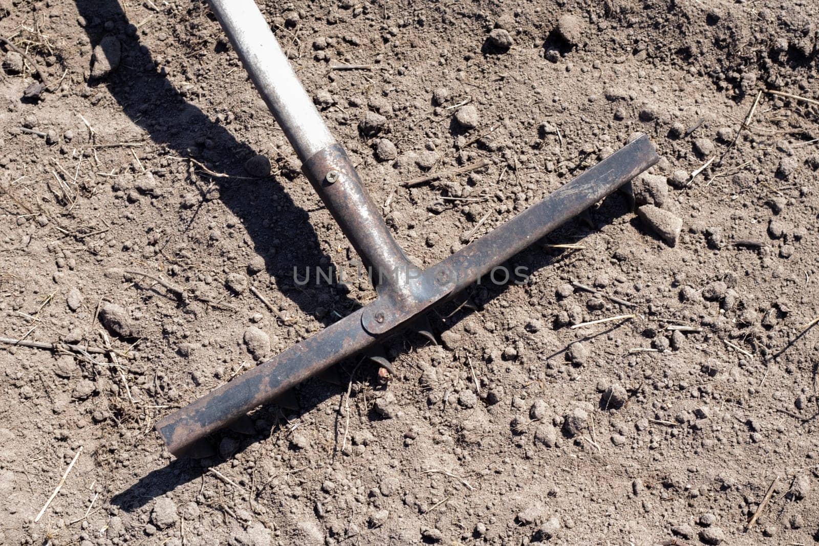 Photo of a garden rake on a bed. Old metal rake in the garden. Spring cleaning. Formation of the soil for planting with a rake in the spring, work with a garden tool. Soil preparation for sowing
