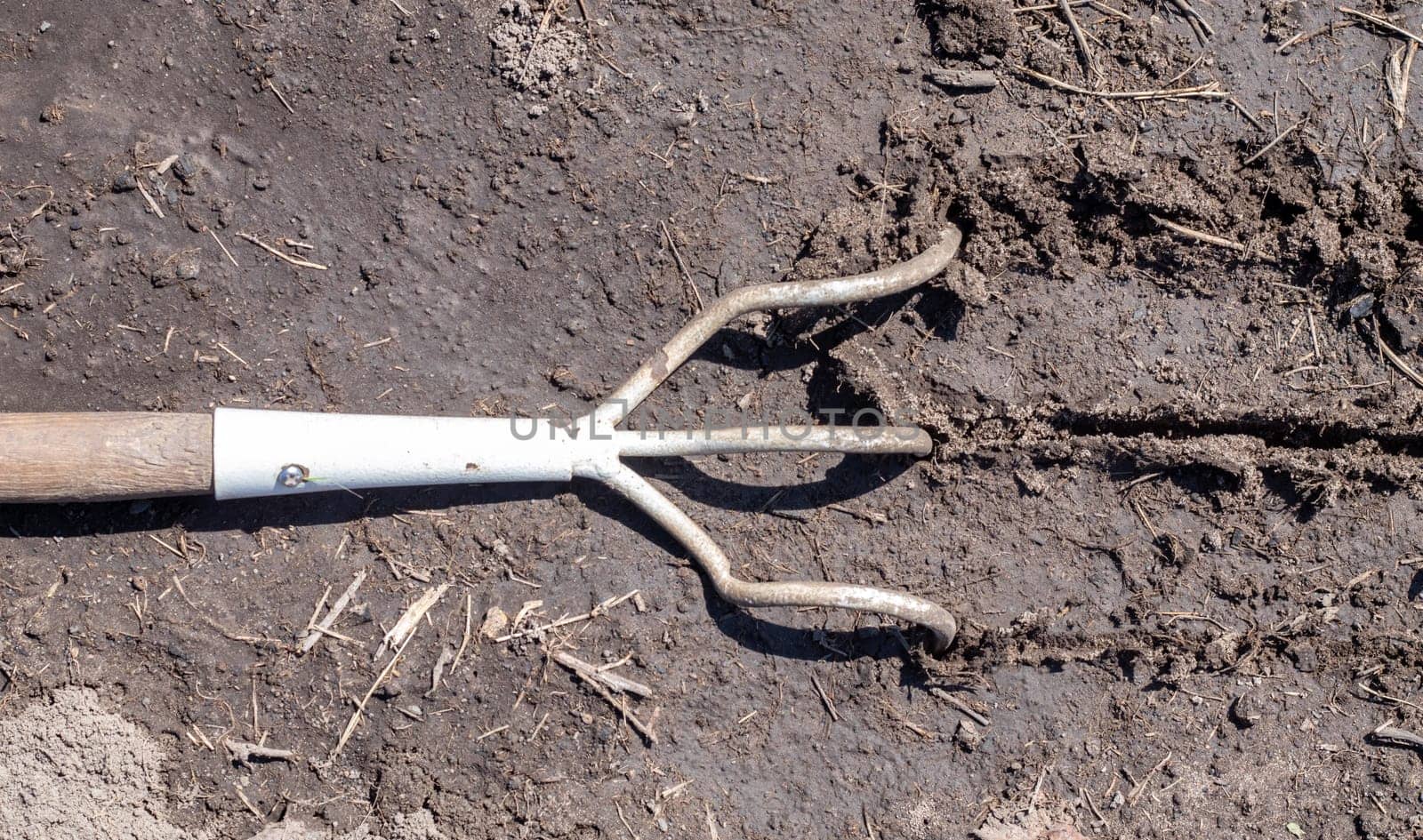 Planting flowers in the garden. A metal small rake with a wooden handle for gardening lies on the ground in a vegetable garden or orchard with stuck clods of soil