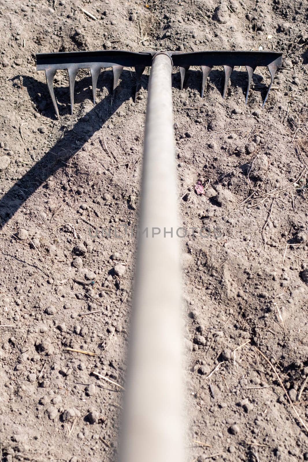 Close up photo of a garden rake on a bed. Old black metal rake on dry soil, in the garden. Spring cleaning. Selective focus. Yard area cleaning