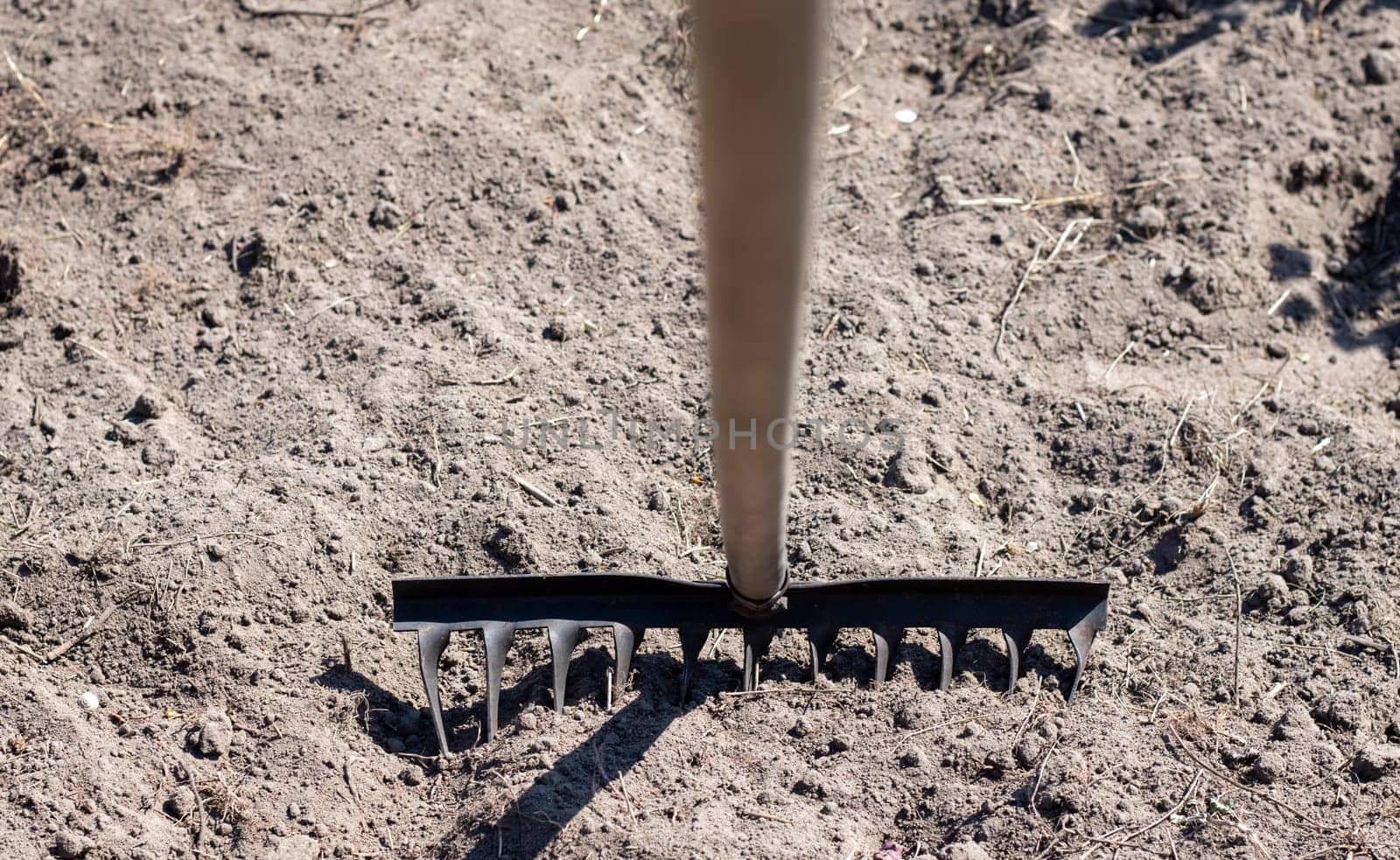 Photo of a garden rake on a bed. Old metal rake in the garden. Spring cleaning. Formation of the soil for planting with a rake in the spring, work with a garden tool. Soil preparation for sowing