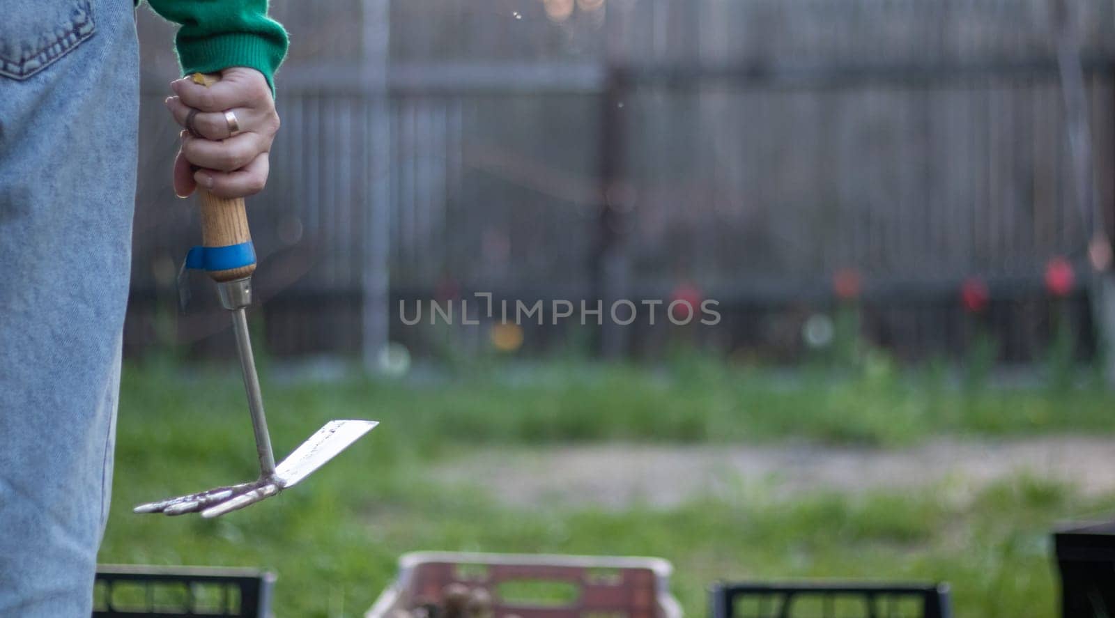 Caucasian woman gardener in the garden shows a rake. The concept of gardening and sustainable summer. Woman's hand with a garden tool. Chopper rake for gardening in female hands. Place for text