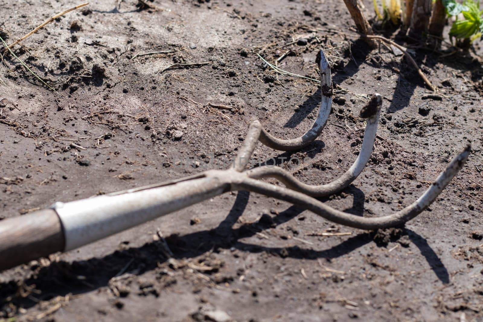 A small dusty rake used in home gardens. Garden tools for gardening and care of plants at home and in the garden. Spring or summer garden work. Dig up a piece of land among the weeds