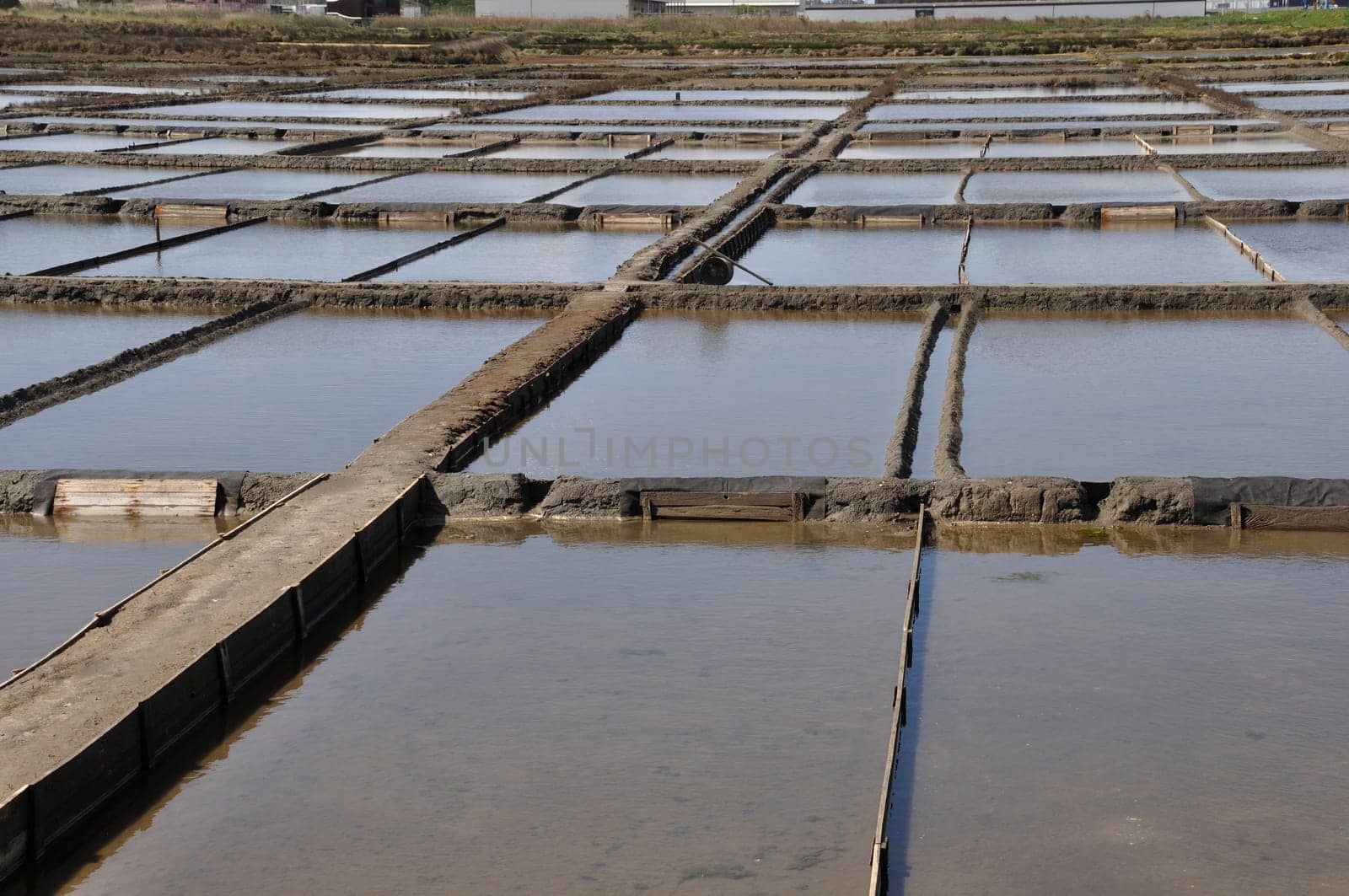 Aveiro salt marshes in Portugal