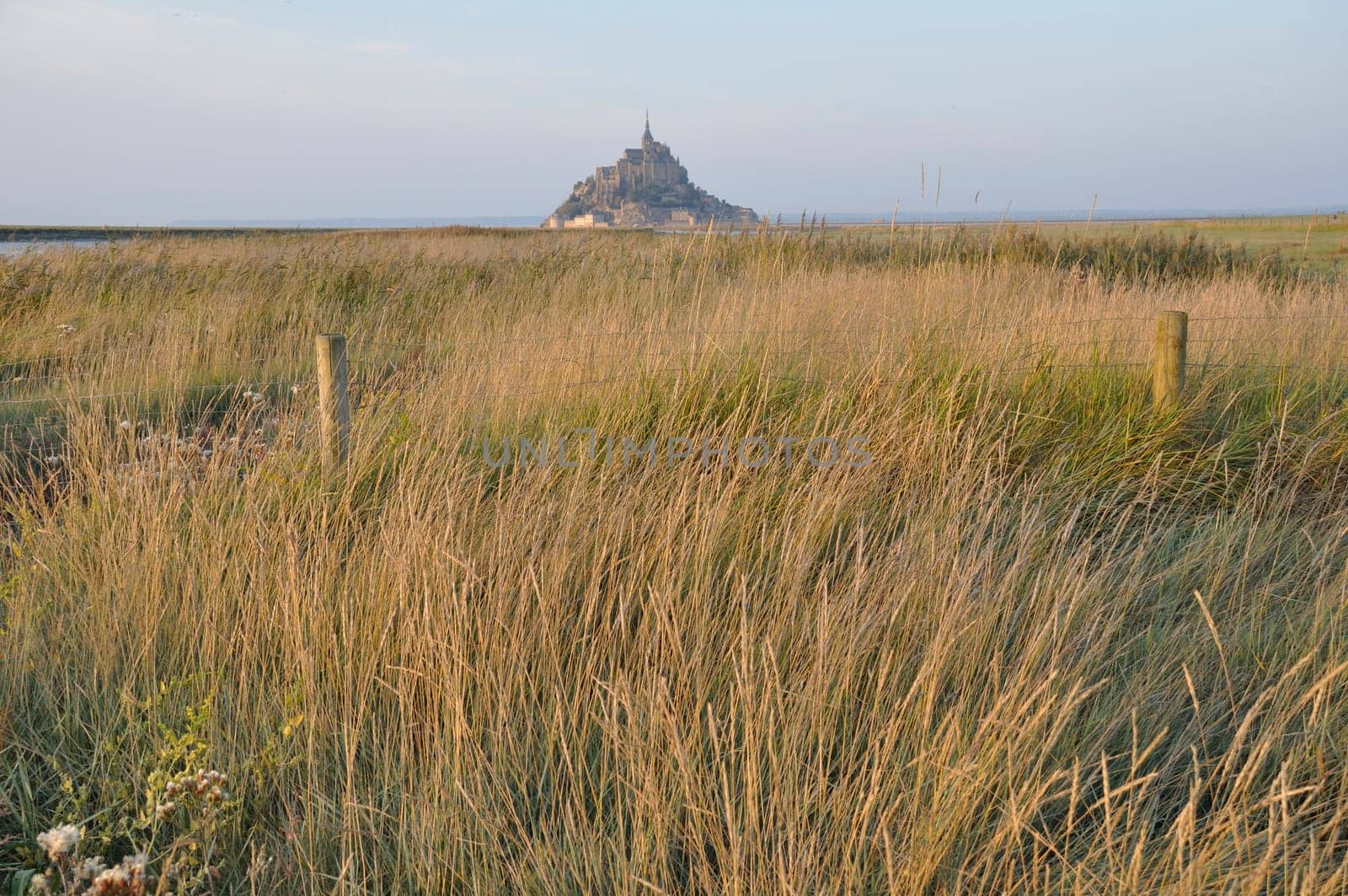 Mont Saint Michel and salt marshes