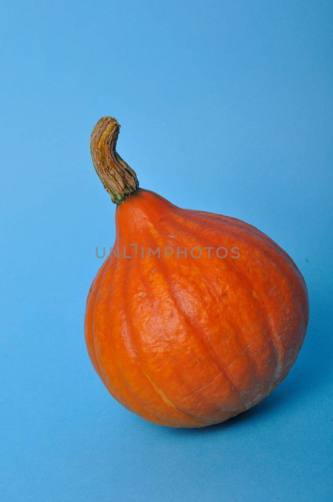 pumpkin on a blue background