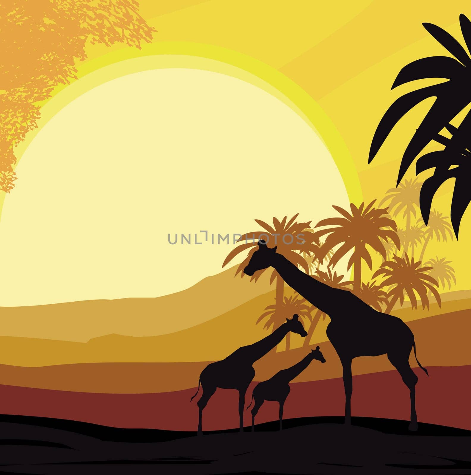 Cartoon African Savannah Card Poster - giraffes during sunset, free space for your text
