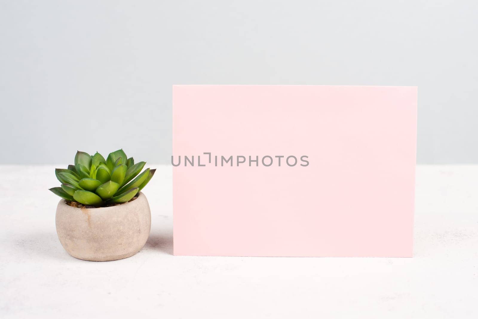 Empty paper with a cactus textured background, brainstorming for new ideas, writing a message, home office desk