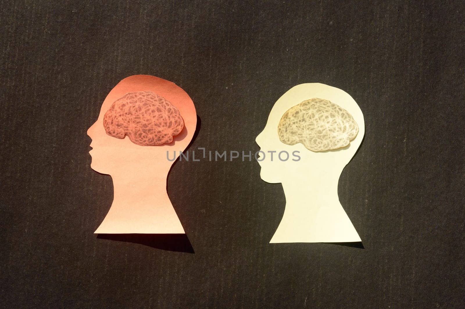 Two People Human Brain Isolated Within Human Head. Paper Illustration. Feelings of isolation and Mental Health concepts.