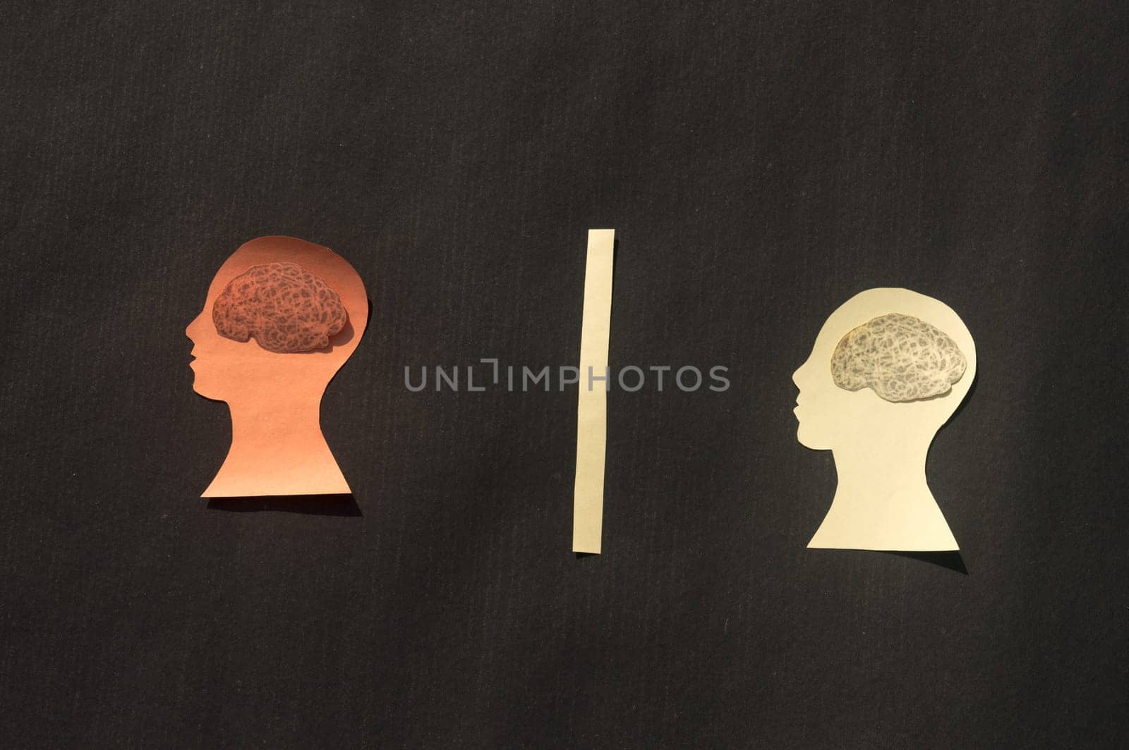 Two Separate People Human Brain Isolated Within Human Head. Paper Illustration. Feelings of isolation and Mental Health concepts.