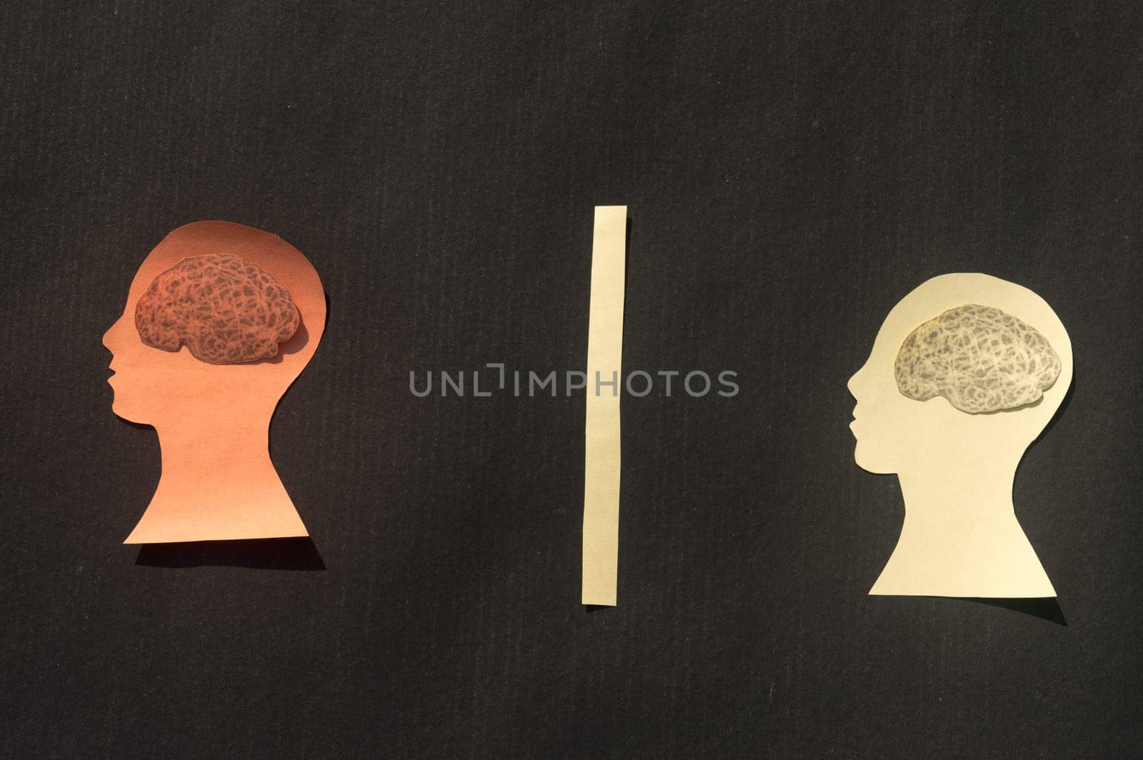 Two Separate People Human Brain Isolated Within Human Head. Paper Illustration. Feelings of isolation and Mental Health concepts.