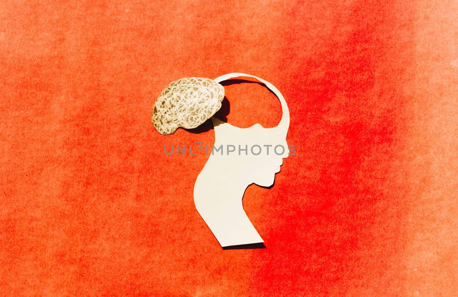 Human Brain Isolated Within Human Head. Paper Illustration. Feelings of isolation and Mental Health concepts.