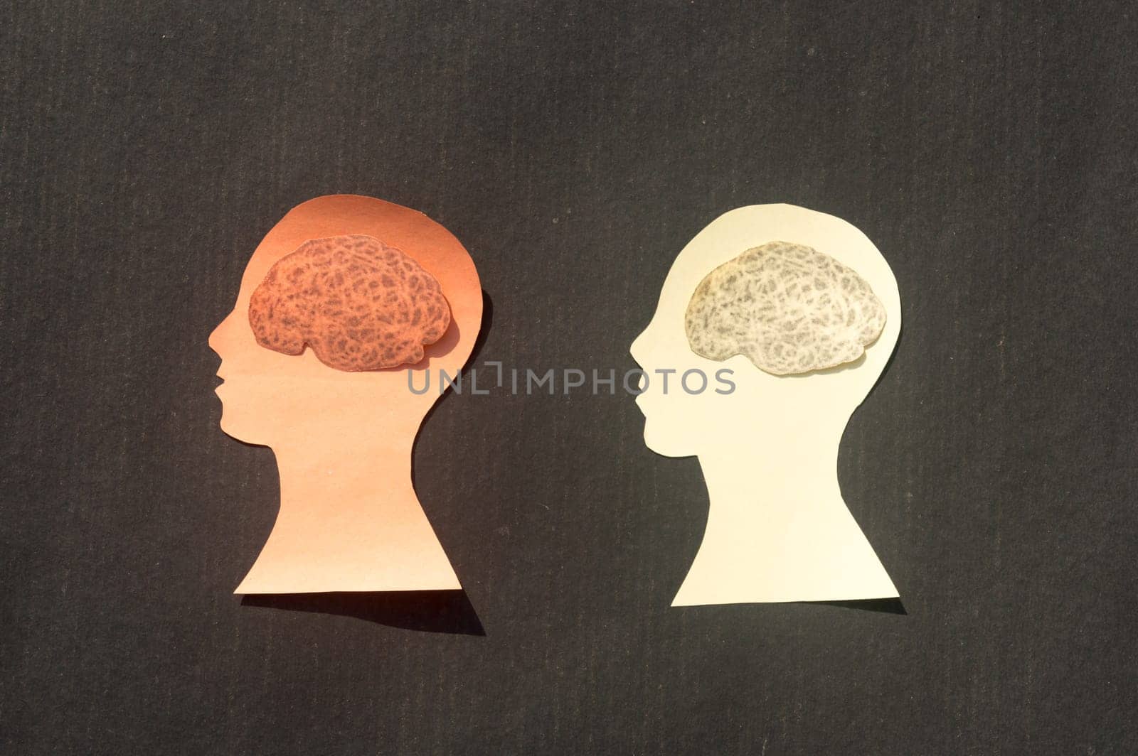Two People Human Brain Isolated Within Human Head. Paper Illustration. Feelings of isolation and Mental Health concepts.