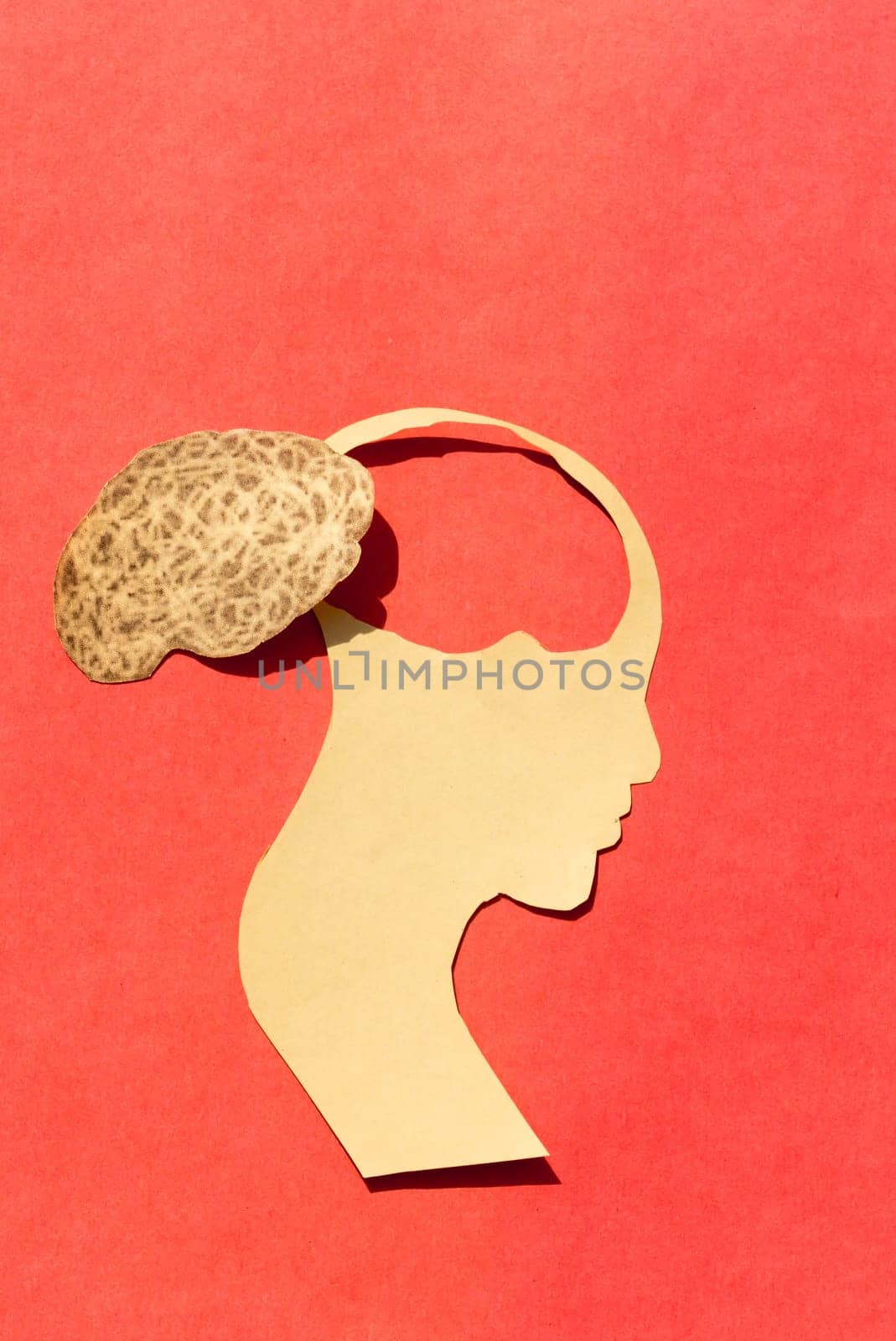 Human Brain Isolated Within Human Head. Paper Illustration. Feelings of isolation and Mental Health concepts.