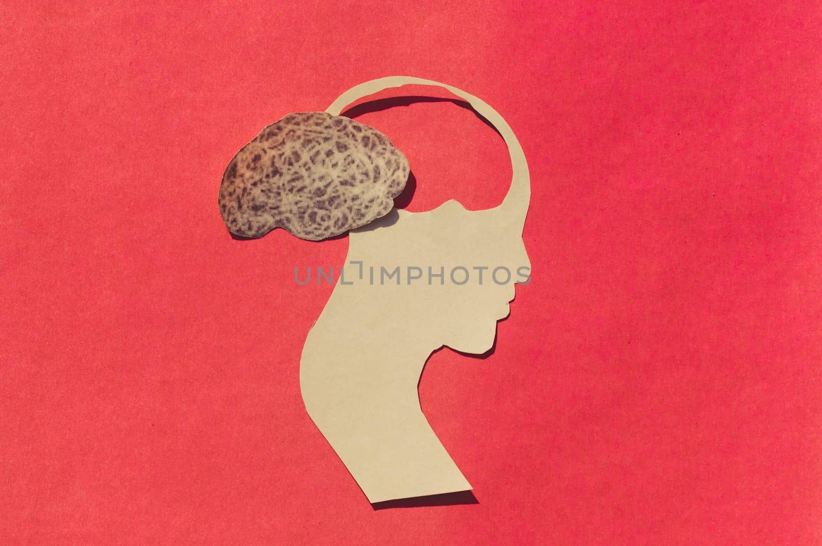Human Brain Isolated Within Human Head. Paper Illustration. Feelings of isolation and Mental Health concepts.