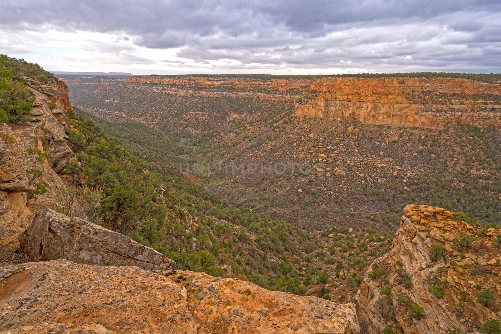 Cliffs and Canyons in Scrublands of the West in Mesa Verde National Park in Colorado
