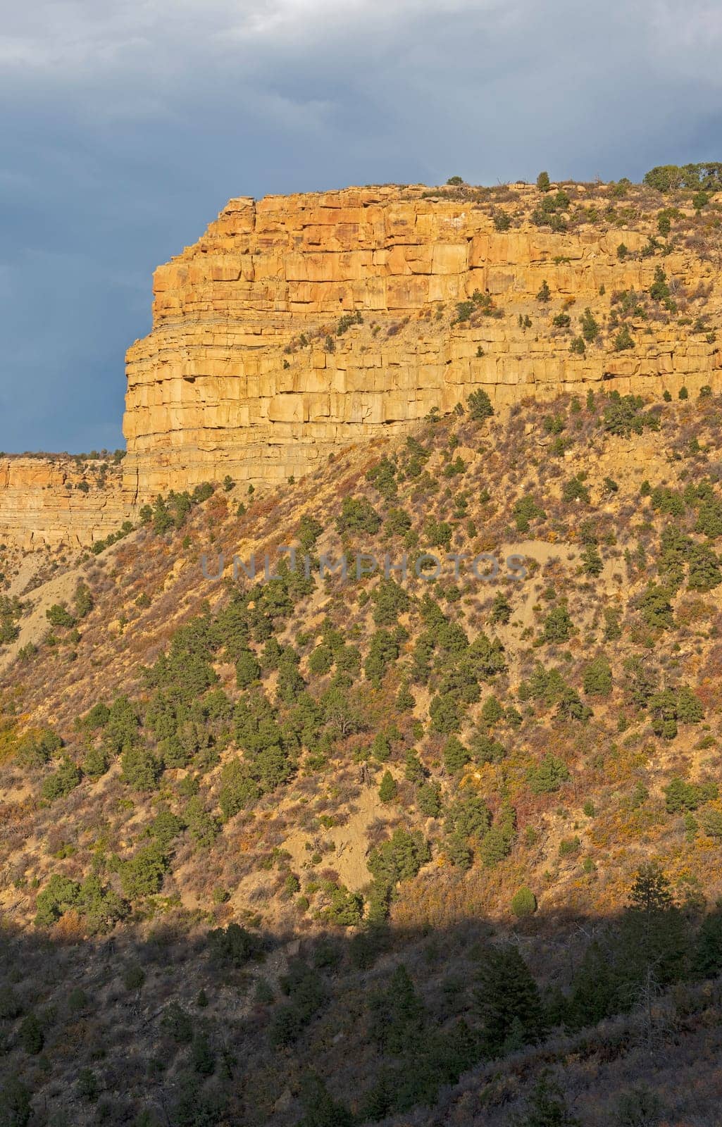 Evening Light on an Arid Mesa in Mesa Verde National Park in Colorado