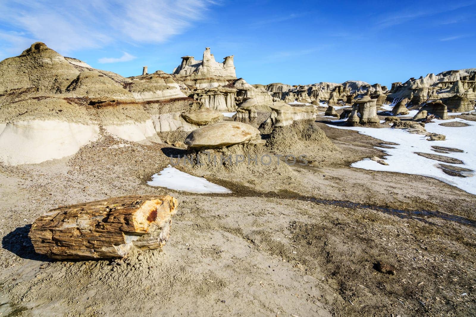 Pieces of petrified wood at Bisti De-Na-Zin Wilderness area in New Mexico in winter