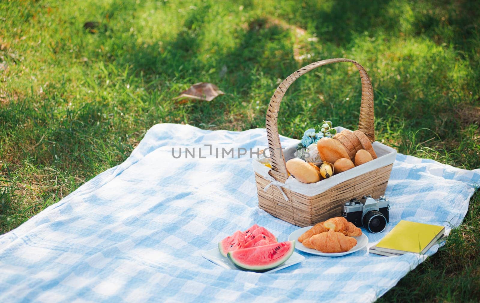 Picnic wattled basket with bread food and fruit, Ukulele, a retro camera on blue cloth in green grass garden with copy space at sunny summertime