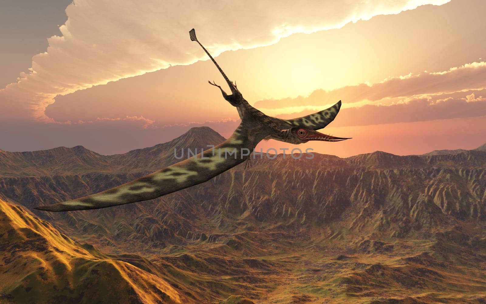Computer generated 3D illustration with the pterosaur Rhamphorhynchus over a landscape at sunset