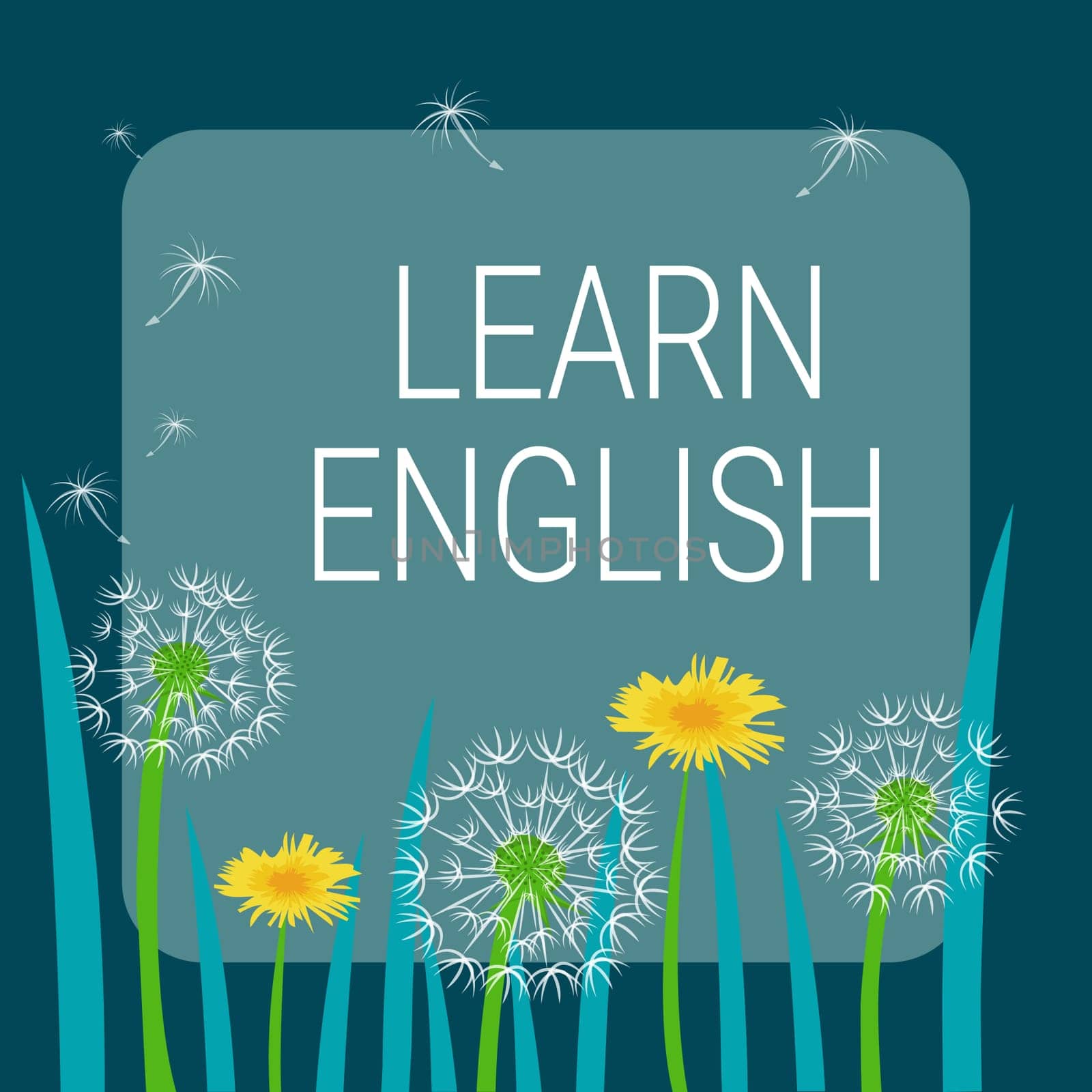 Text sign showing Learn English, Business approach Universal Language Easy Communication and Understand Frame Decorated With Colorful Flowers And Foliage Arranged Harmoniously.