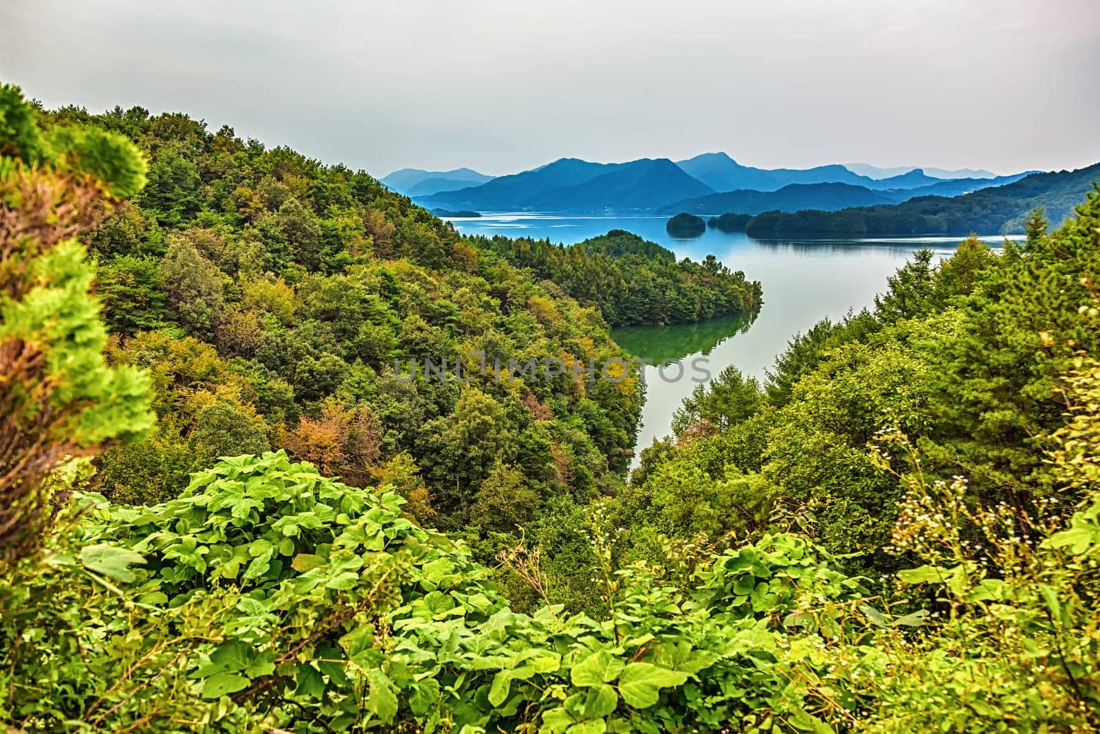 Mountains with green trees and lake landscape in South Korea
