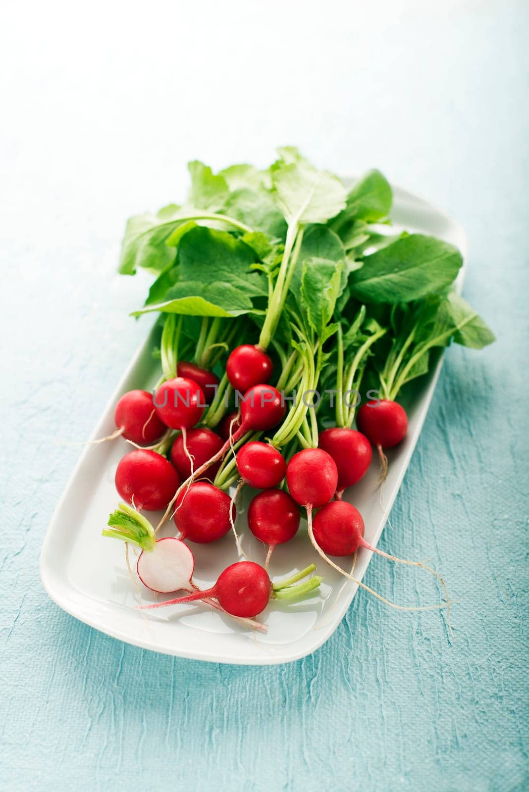 Bunch of fresh red radish on blue background