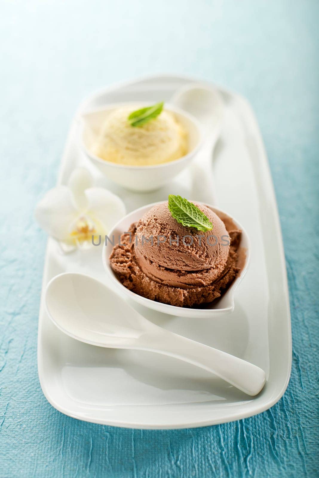 Chocolate and vanilla Ice cream on a white plate