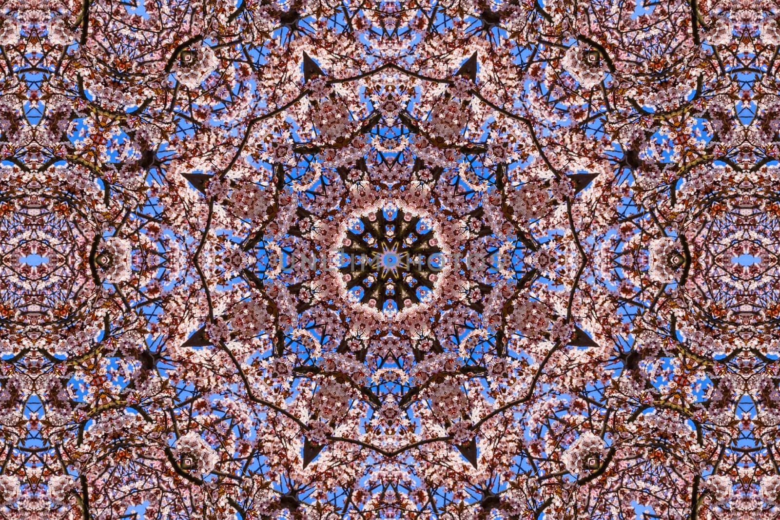 kaleidoscopic floral pattern, abstract background for design