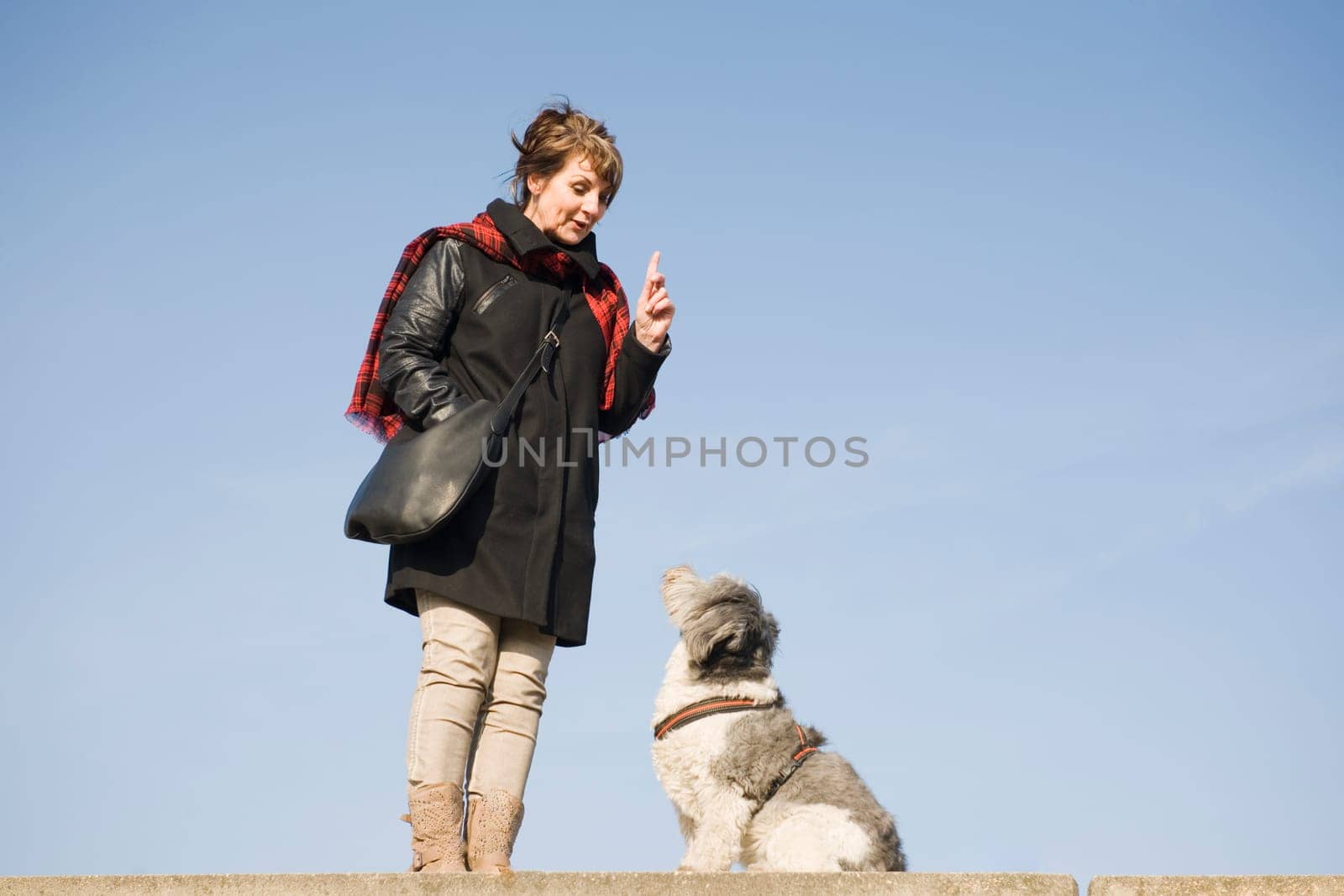 Full-body view of a mature woman with mixed-breed dog in front of blue sky