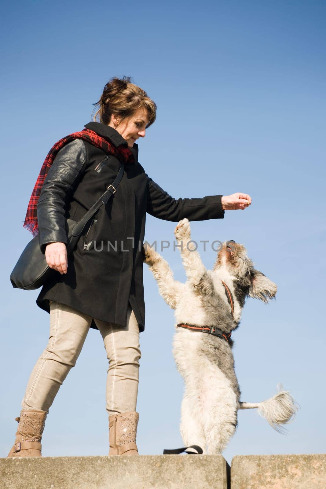 Full-body view of a mature woman with a mixed-breed dog standing on her hind legs in front of blue sky
