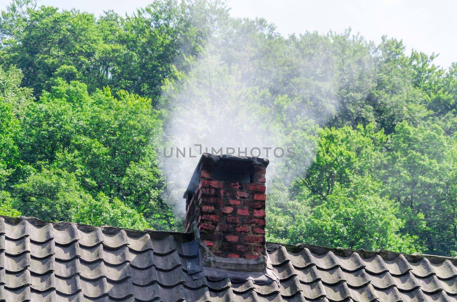 Old brick fireplace from which it smokes.