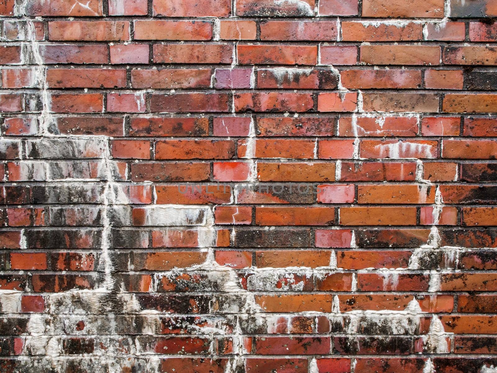 Full-frame view of a rain-soaked brick wall with efflorescence.