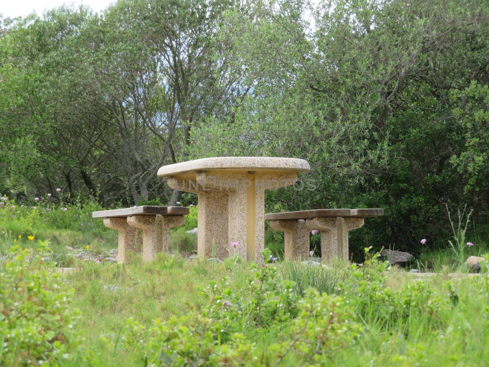quiet picnic area beautiful natural countryside food table chair